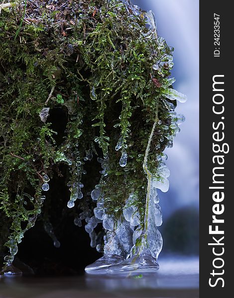 Frozen moss with icicles over a creek