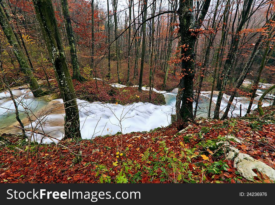 Clear stream and November foliage in remote mountain location. Clear stream and November foliage in remote mountain location