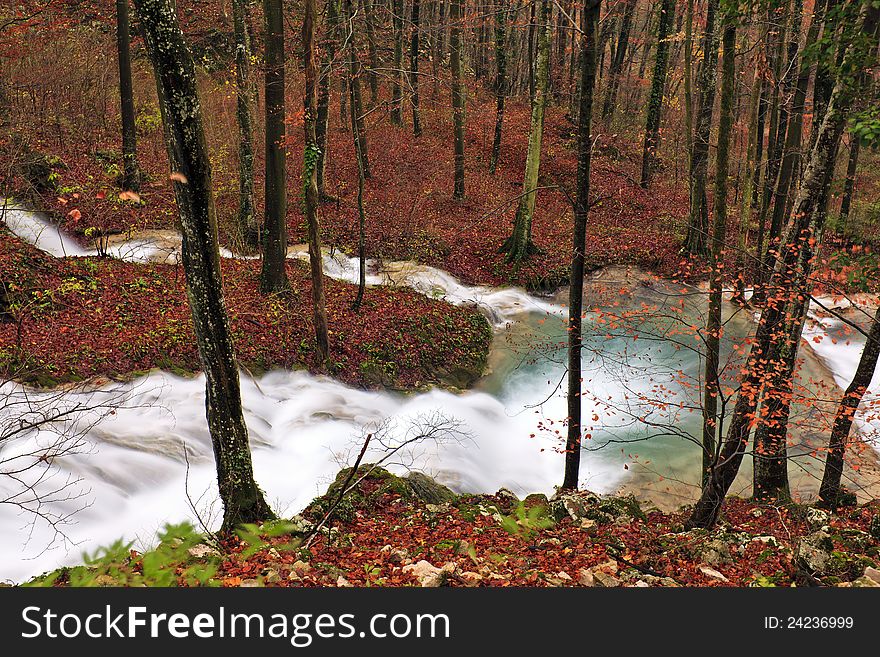 Clear Stream And November Foliage In The Mountains