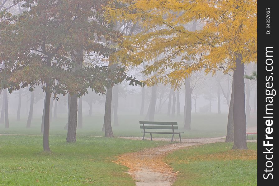 Mist And Yellow Tree Foliage In Autumn