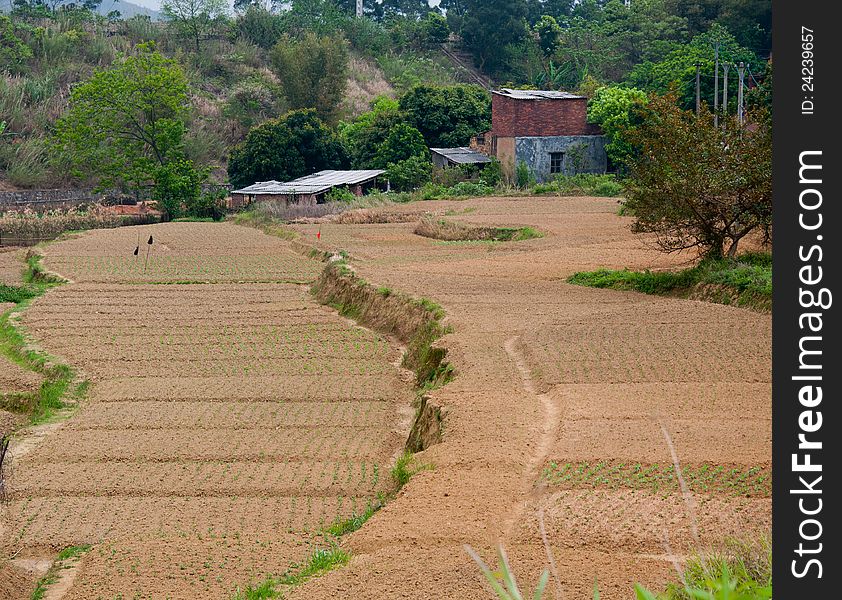 Farmland of rural areas in China . Farmland of rural areas in China .
