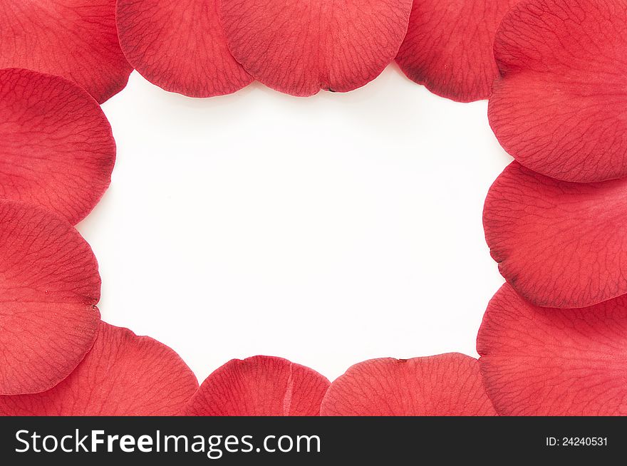 Frame of red petals background