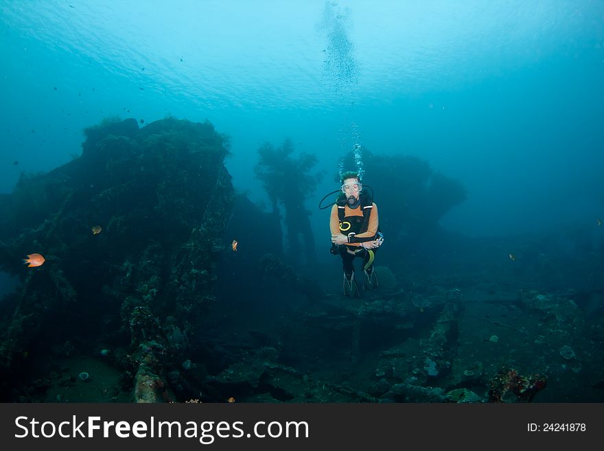 Female diver a the Liberty Wreck at Tulamben, Bali. Female diver a the Liberty Wreck at Tulamben, Bali