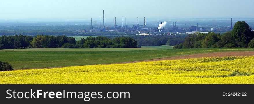 Yellow rape fild with factory in background - panoramic view. Yellow rape fild with factory in background - panoramic view