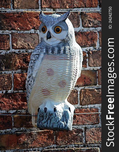 An Ornamental Owl Fixed onto a Garden Wall. An Ornamental Owl Fixed onto a Garden Wall.