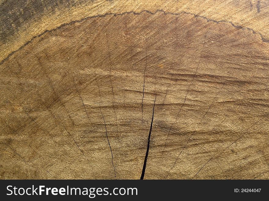Abstract wood texture background old