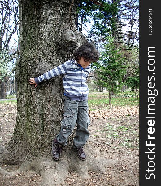 Little boy guarding a big tree in a public park. Little boy guarding a big tree in a public park