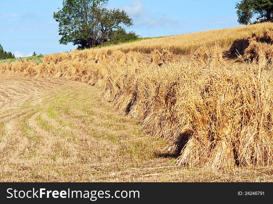 Landscape With Haystack