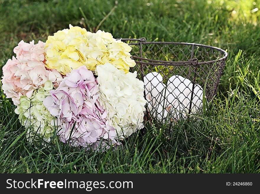 Hydrangeas and Country Eggs