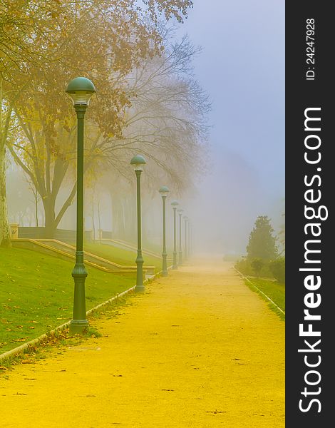 Photograph taken in a city park on a foggy days. Photograph taken in a city park on a foggy days