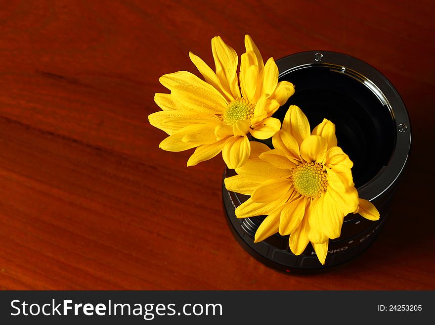 Two yellow flower on a black vase, on a wooden base.