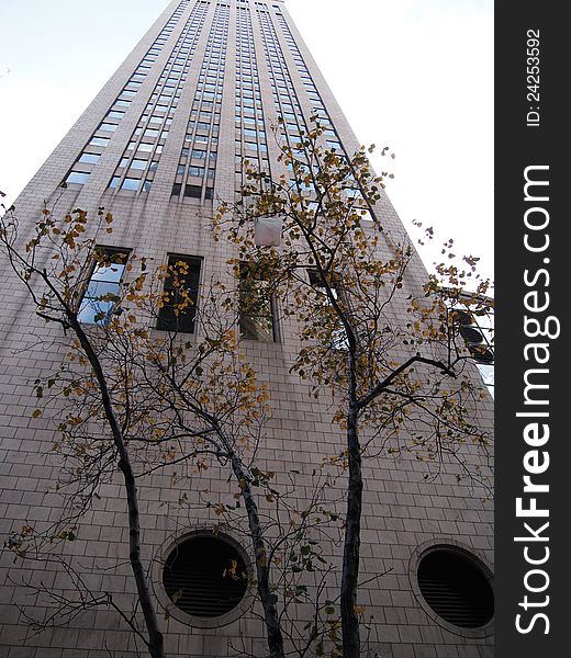 Skyscraper In New York