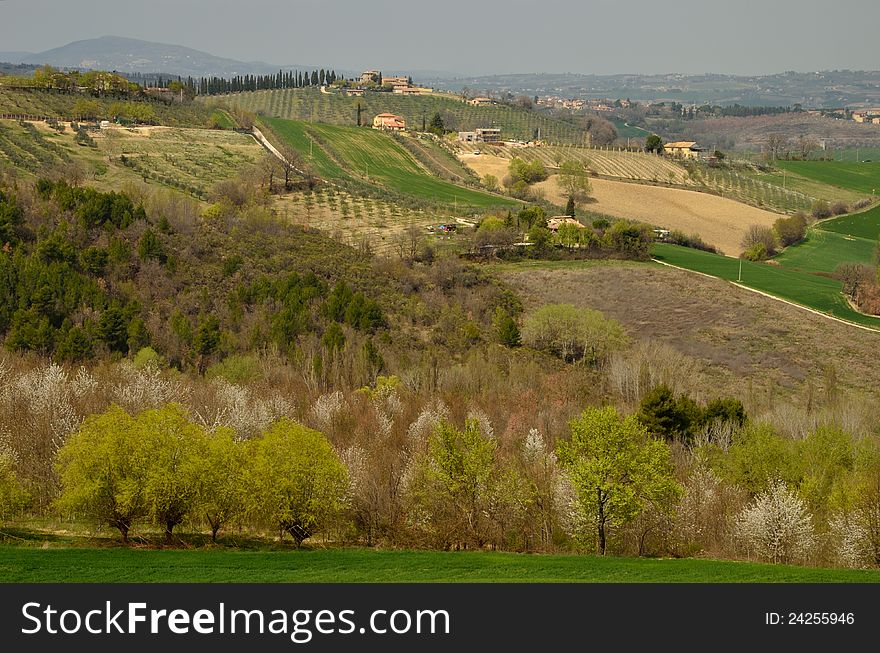 Spoleto hills in the spring season