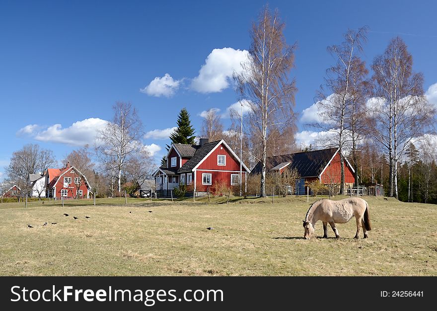 Typical Swedish village landscape in spring season. Typical Swedish village landscape in spring season