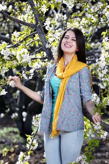 Beautiful Women Was Blossoming Garden Stock Image Beautiful Women Was Blossoming Garden Stock Image