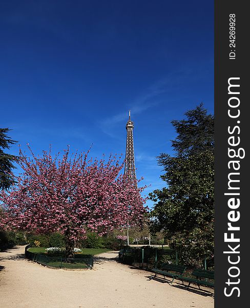 Image during the spring, of the Eiffel Tower from a beautiful park in the vicinity. Image during the spring, of the Eiffel Tower from a beautiful park in the vicinity.