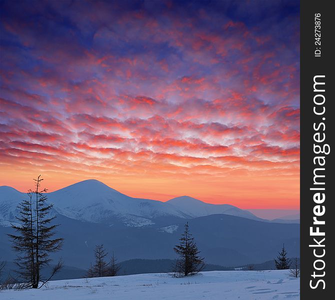 Winter landscape in the mountains at sunset with red sky. Ukraine, Carpathian Mountains, the ridge Chernogora. Winter landscape in the mountains at sunset with red sky. Ukraine, Carpathian Mountains, the ridge Chernogora