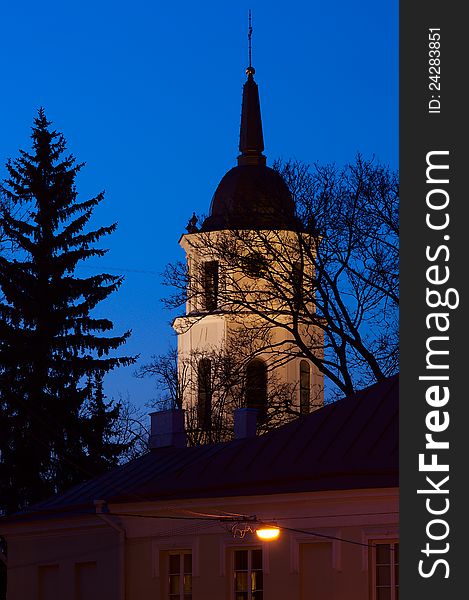 Vilnius Cathedral tower at night, vertical