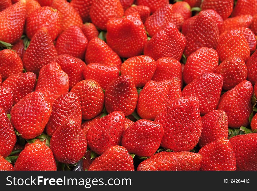 Heaps of big red strawberries