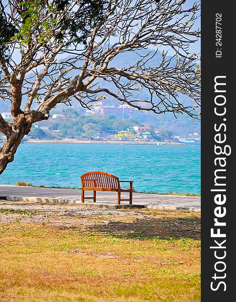 A chair on the seaside with the big tree at koh srichang, chonburi, thailand