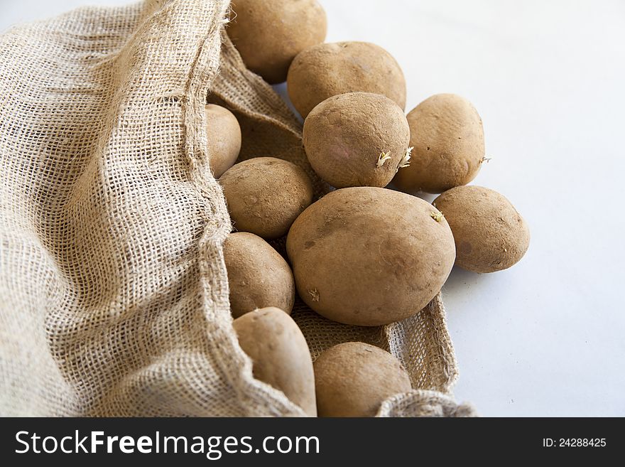 Sack of potatoes recently harvested field