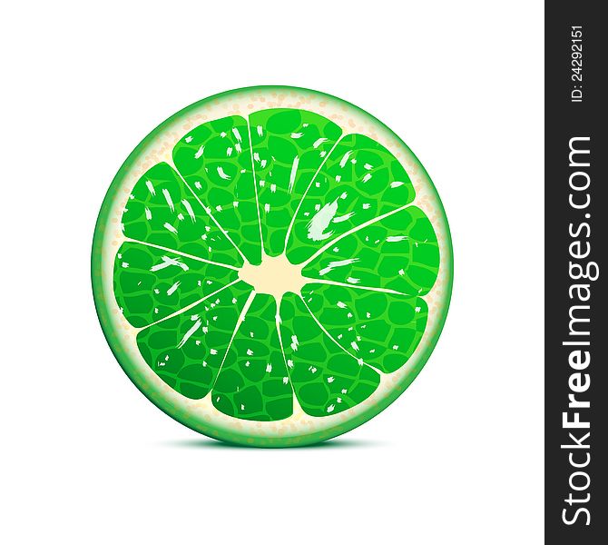 Lime vector illustration. fruit background