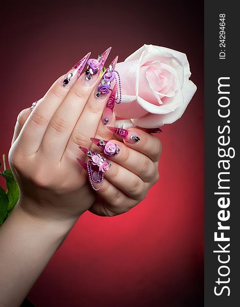 Beautiful manicure of nails, hands hold a beautiful flower. Beautiful manicure of nails, hands hold a beautiful flower