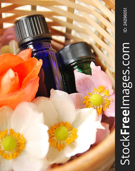 Essential oils with flower anemone. Essential oils with flower anemone