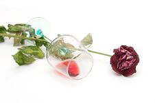 Red Wine And Rose Stock Image Red Wine And Rose Stock Image