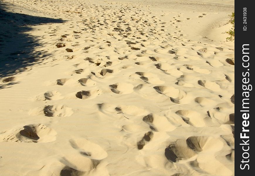 Footprints on the sand down hill