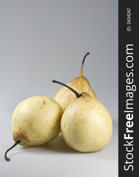 Three yellow chinese pears on grey background. Copyspace provided.