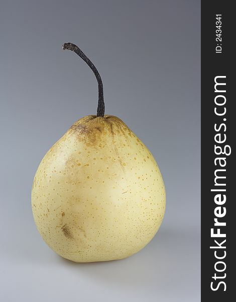 One yellow chinese pear on grey background
