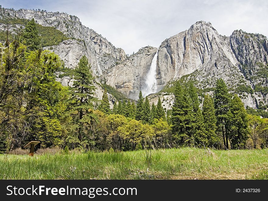 Yosemite Fields Of Green