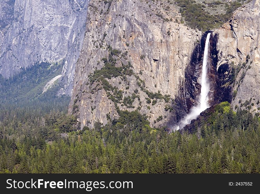 Bridalveil Falls And Forest
