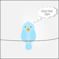 Blue Bird T Stock Photo Blue Bird T Stock Photo