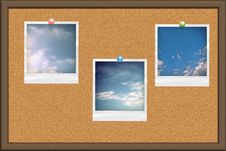 Cork Board With Photo Cards Stock Images Cork Board With Photo Cards Stock Images
