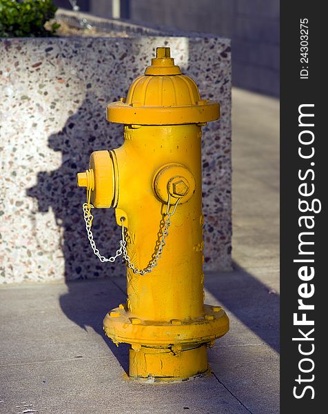 Yellow Fire Hydrant Stands On Concrete Downtown