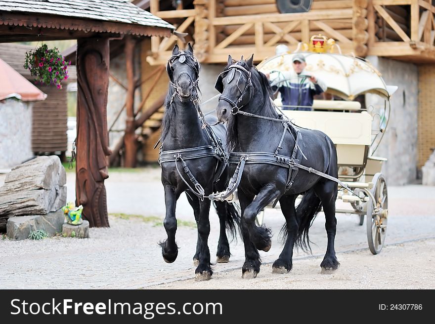 A carriage with black horses in the village