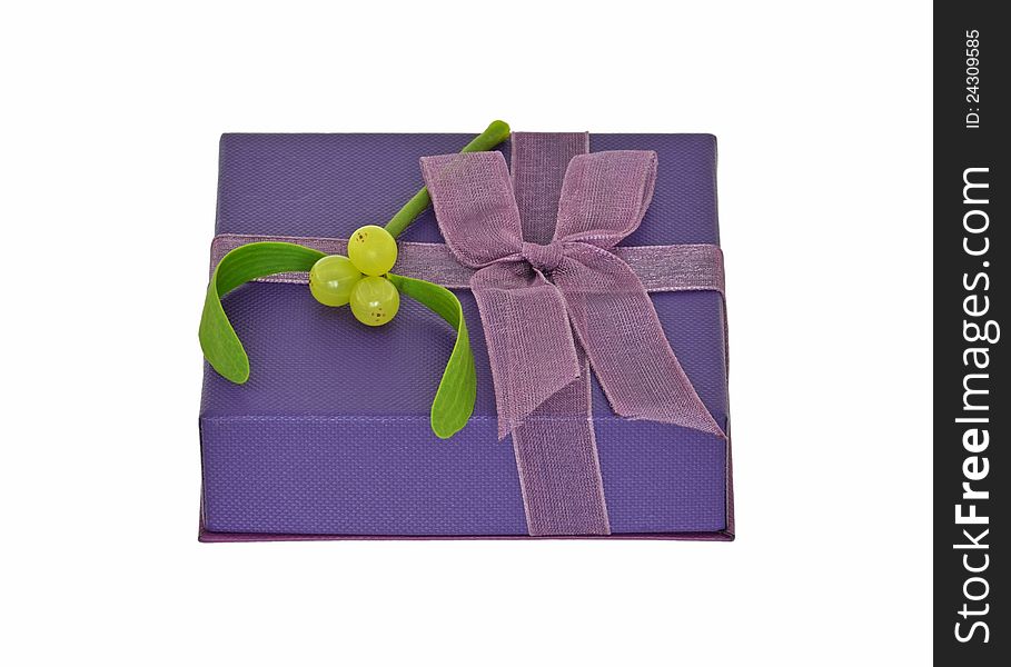 Gift With Mistletoe