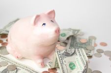 Pink Piggy Bank With Money Royalty Free Stock Images