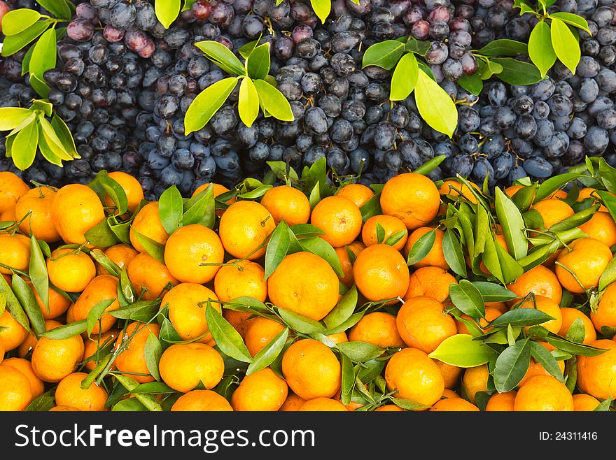 Fresh orange and grape fruit in the market