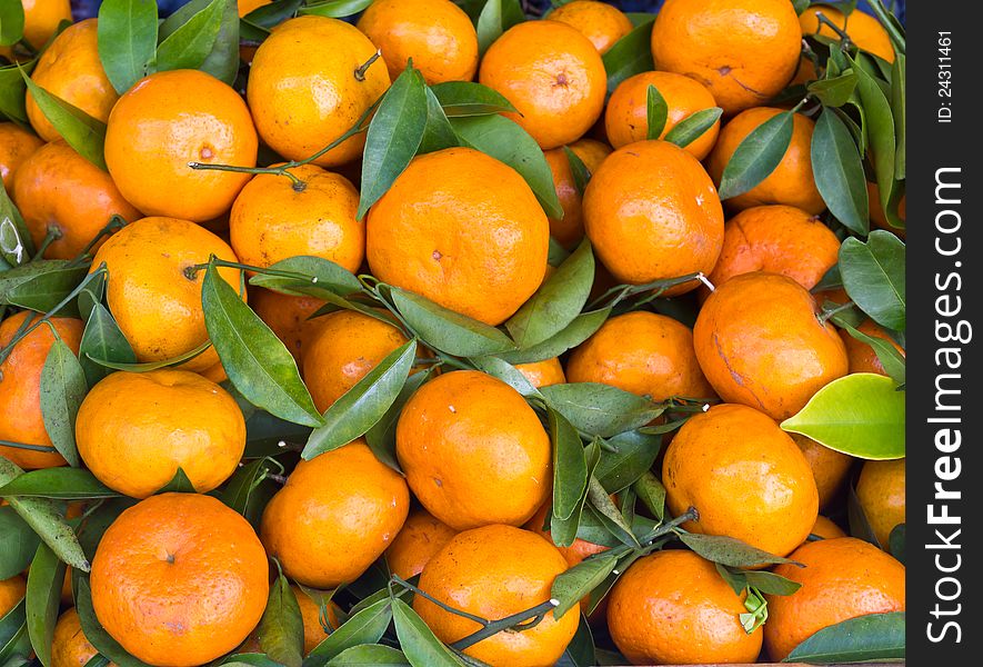 Fresh orange fruit in the market