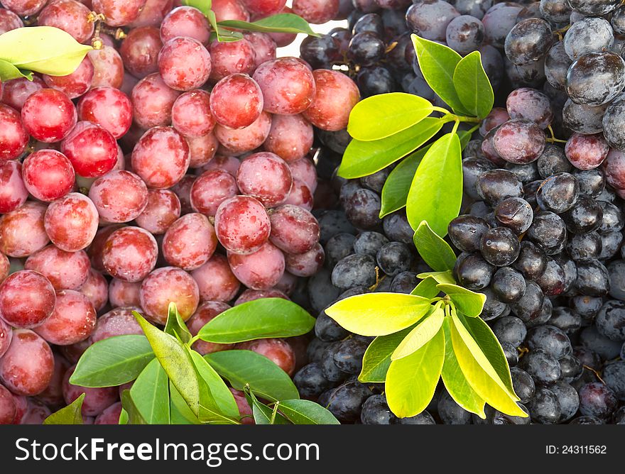 Fresh grape fruit in the market