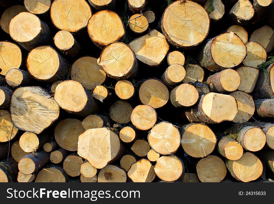 Pile Of Wood Logs