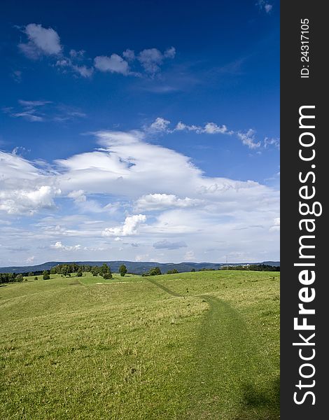 View on green meadow with blue summer sky and white clouds in the background. View on green meadow with blue summer sky and white clouds in the background