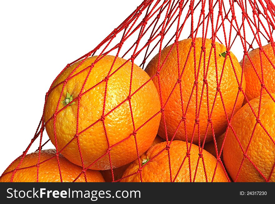Oranges in the grid closeup isolated on white