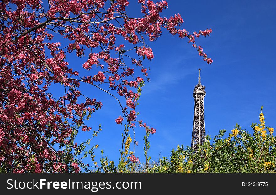 Detail of the top of The Eiffel Tour seen through branches of blossoming tree in spring. Detail of the top of The Eiffel Tour seen through branches of blossoming tree in spring.