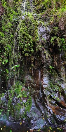Waterfall On The Road To Hana Royalty Free Stock Photos