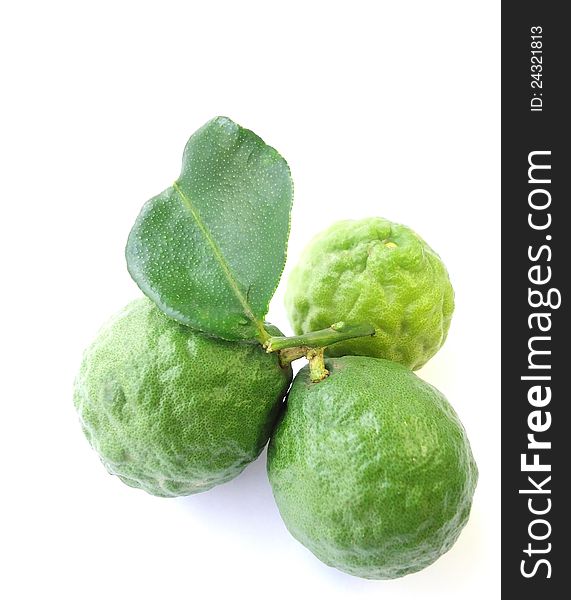 Lime Isolated in White Background
