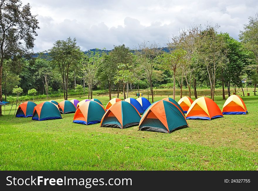 Rows Of Colorful Tent, Forest Campsite